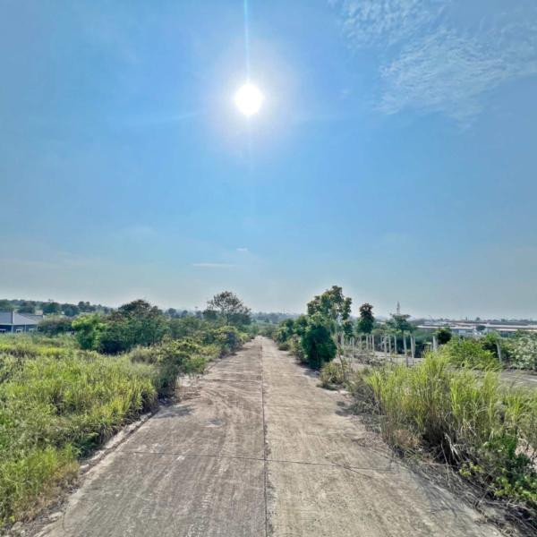 Land for sale in Rayong Land for sale Mapyangphon Land for sale in